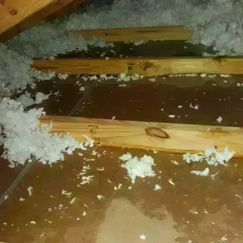 Attic Water Damage in Tooele County, UT